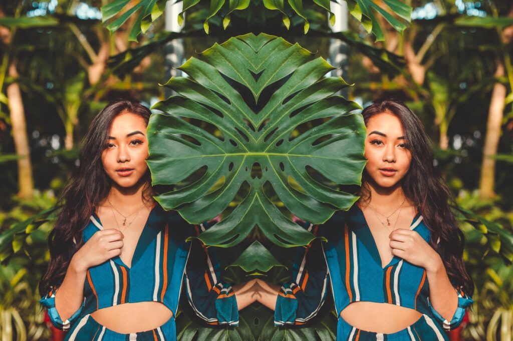 Mirror shapes for mirror image