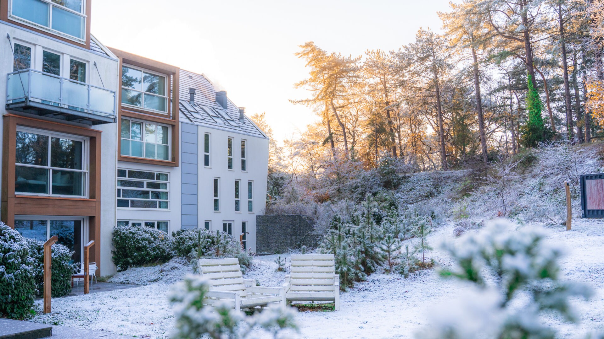 The Blooming Hotel in Winter