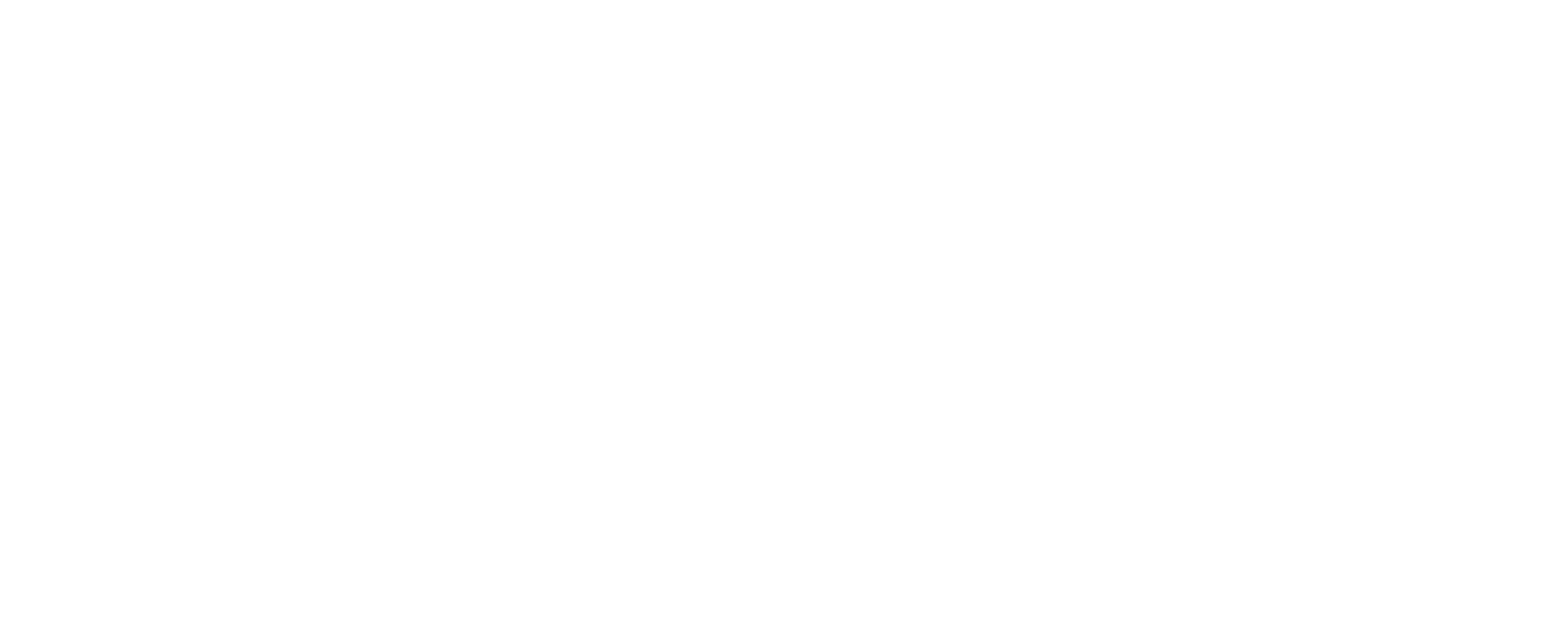 Perform Template Logo