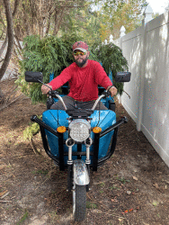 Tree Trimming Valdosta GA