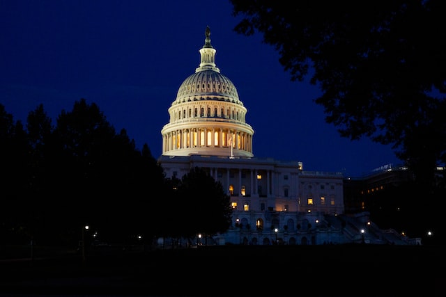 What do the US Midterms Mean for Investors?