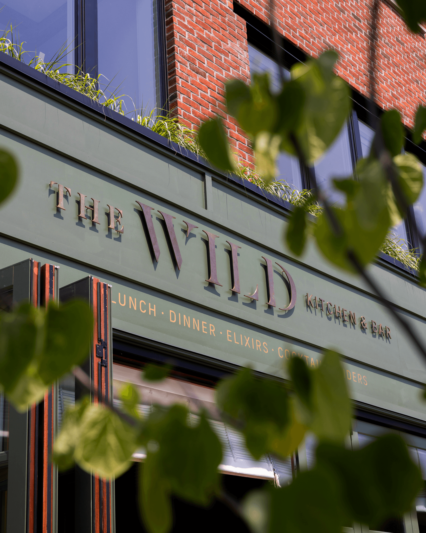 The Wild Restaurant