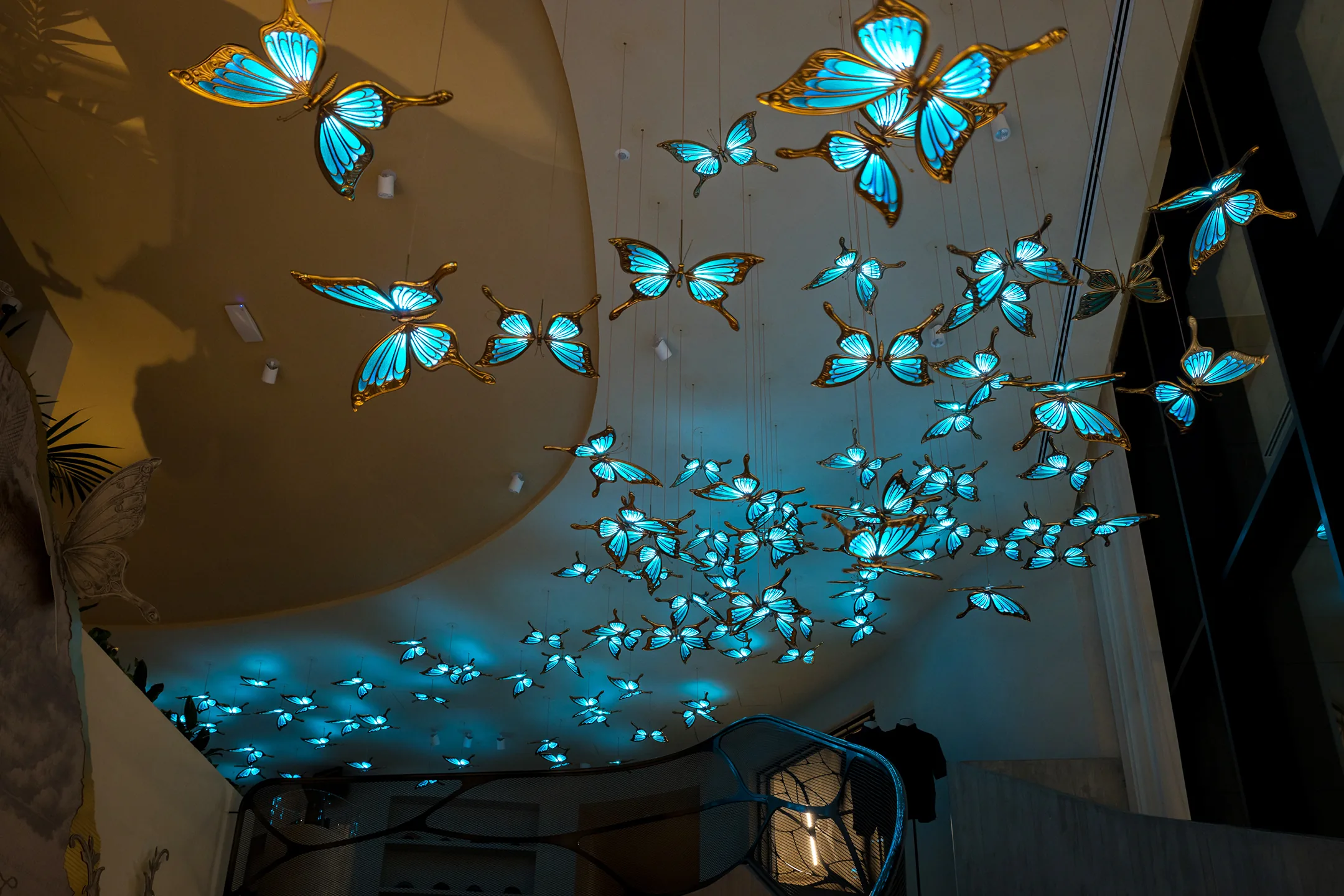 View of the Tomorrowland store buterflies roof