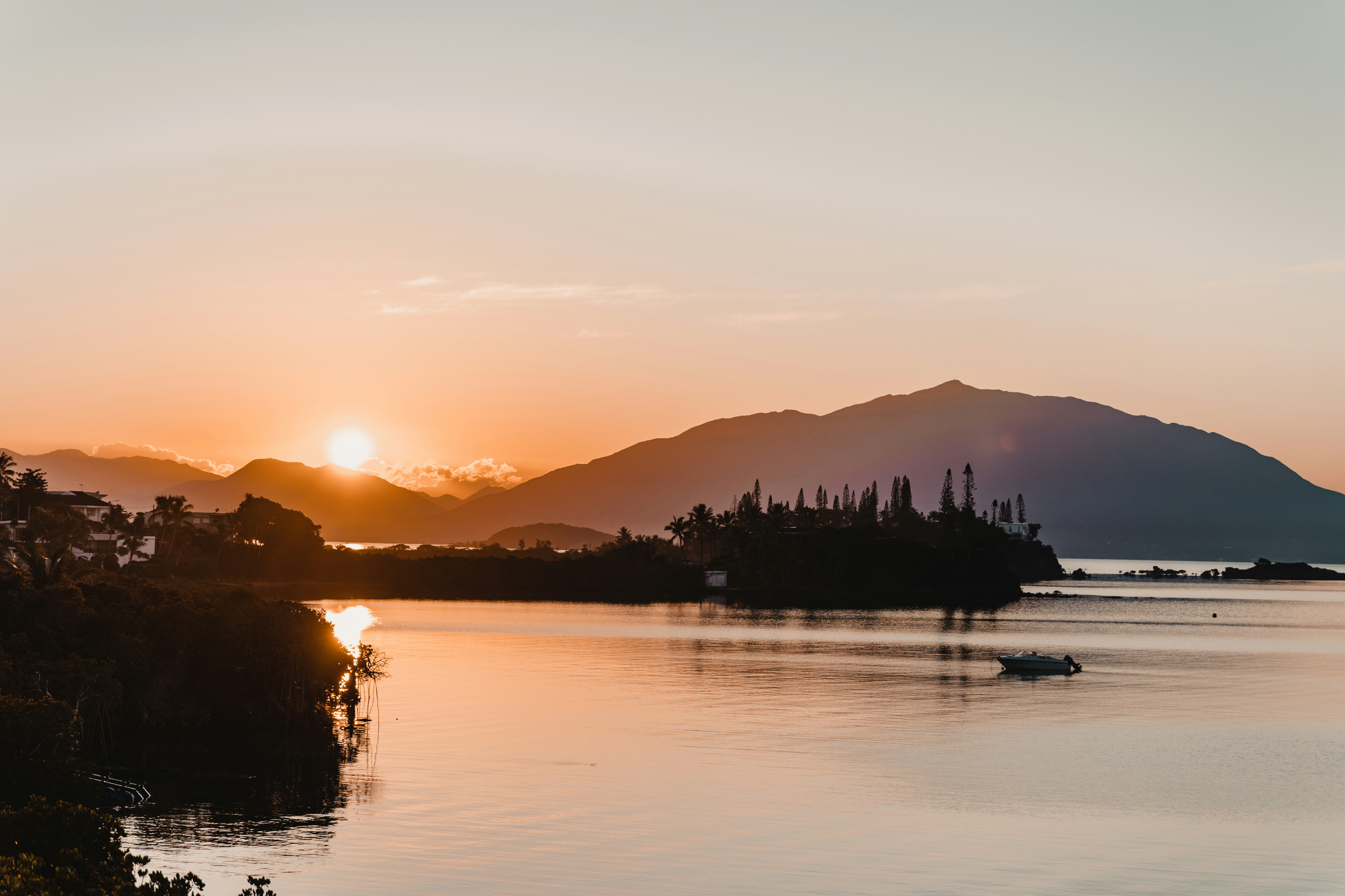 silhouette of trees near body of water during sunset