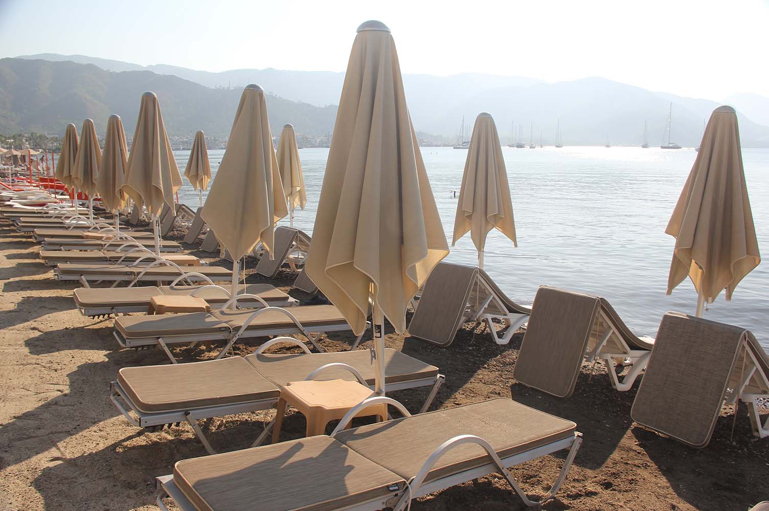 woman holding a phone and man looking at the phone. both are smiling