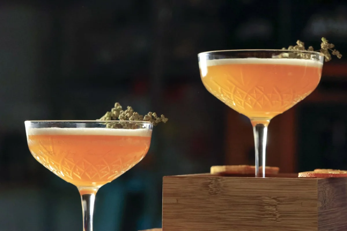 eleganckie koktajle z drink baru na wesele