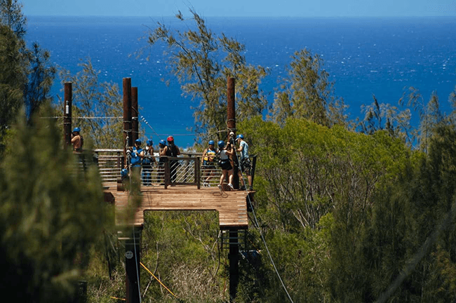 Expansive views of zipline tower against a backdrop of the Great Smoky Mountains