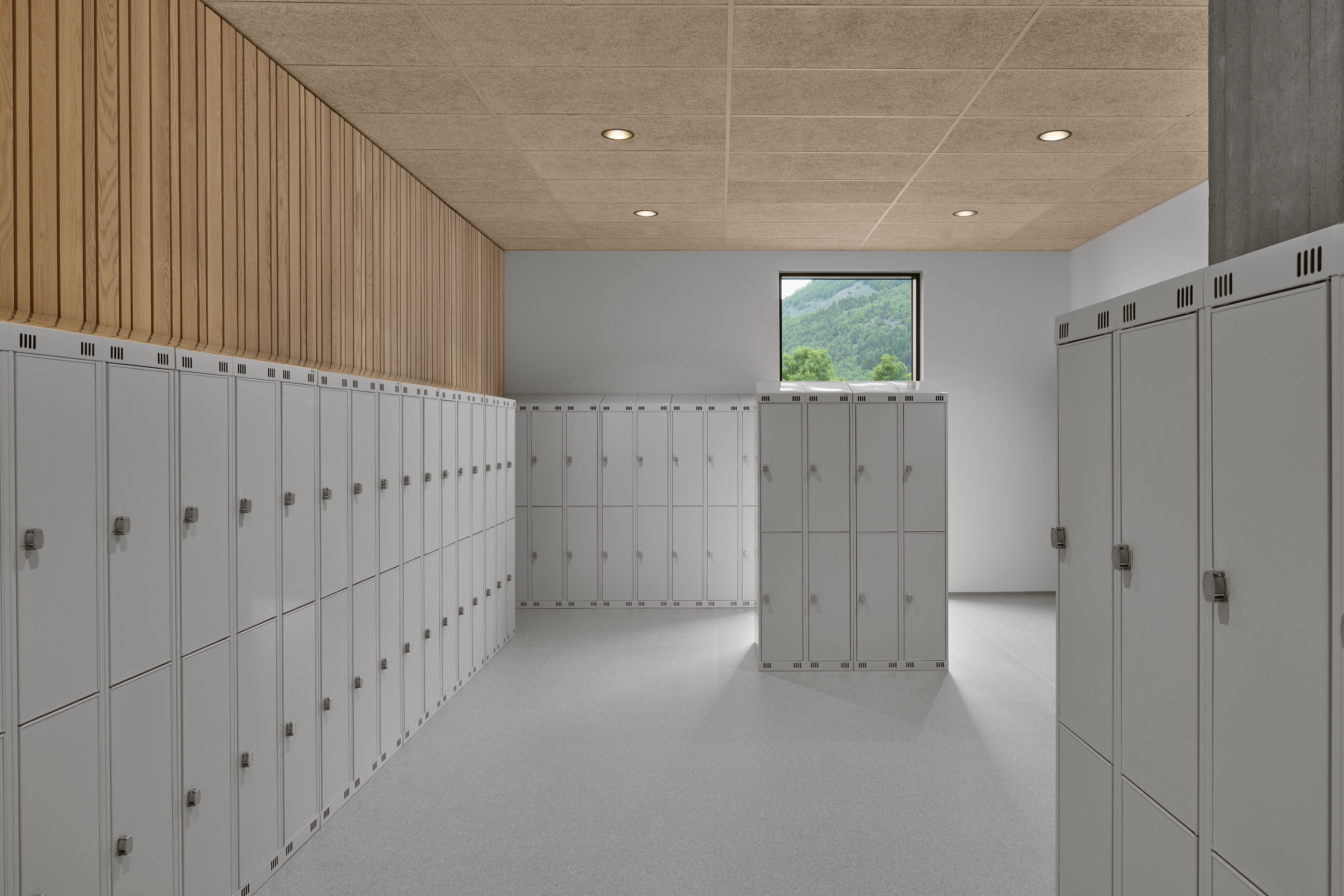 Modern glass and steel building with warm wooden ceilings, surrounded by lush greenery, blending contemporary architecture with nature.