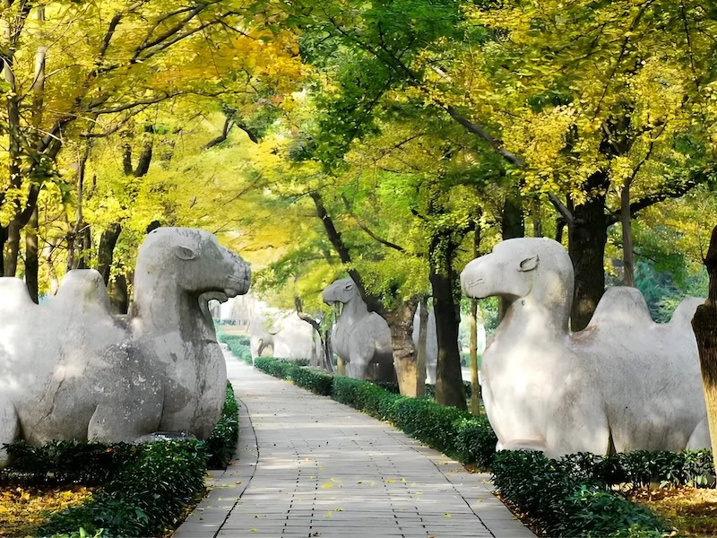 Nanjing Xiaoling Ming Tombs