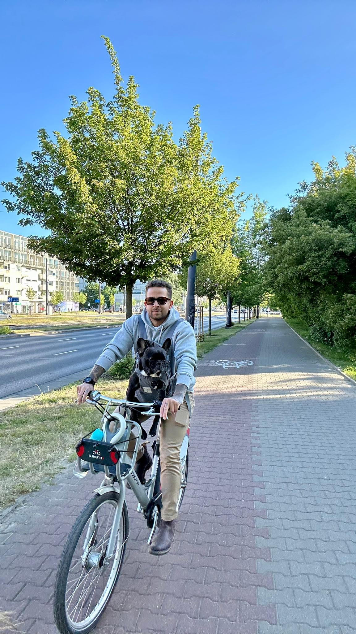 David the cyclist in a grey hoodie and sunglasses rides with a French Bulldog in a front harness. They are on an urban bike path, surrounded by trees, buildings, and passing cars.