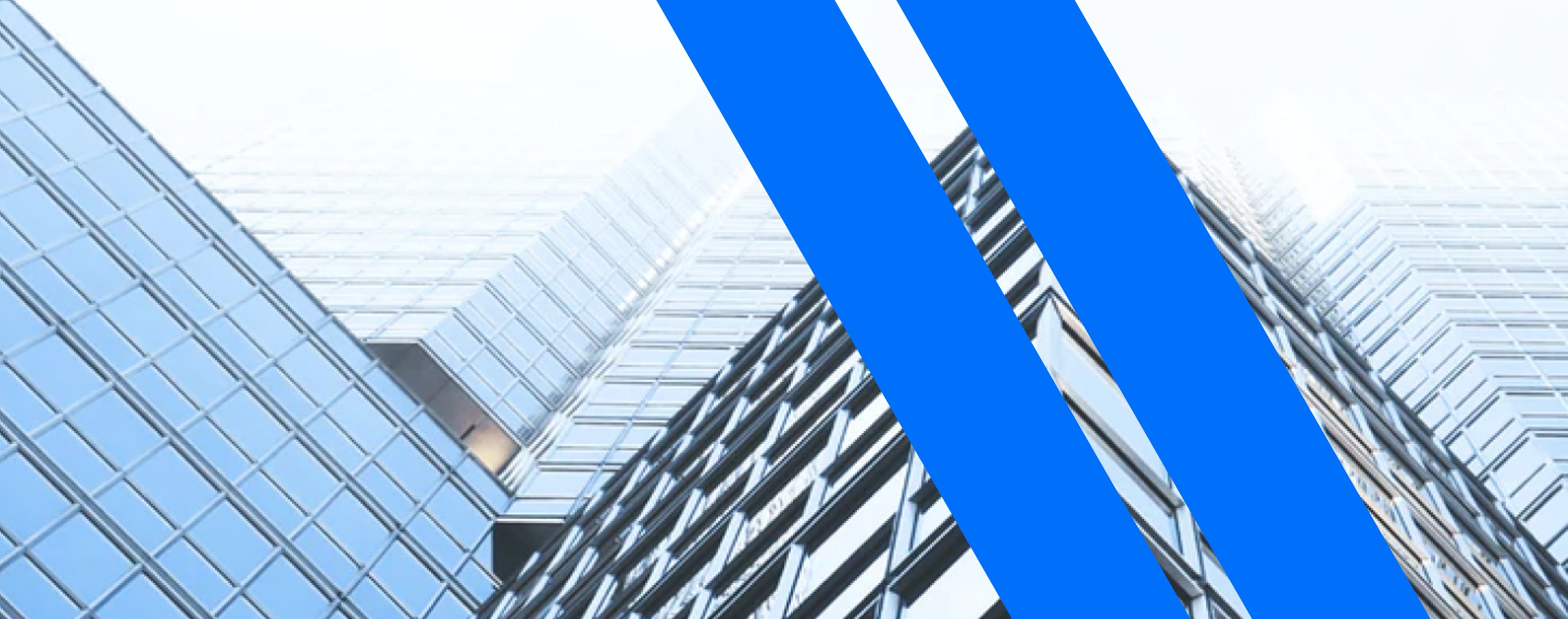 person sitting on grass and using phone