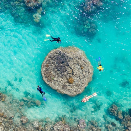 Whitsundays Ocean Rafting: Snorkel, Walk & Whitehaven Beach tickets in Airlie Beach