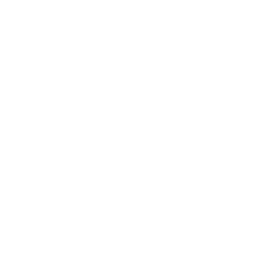 Server Solutions Icon