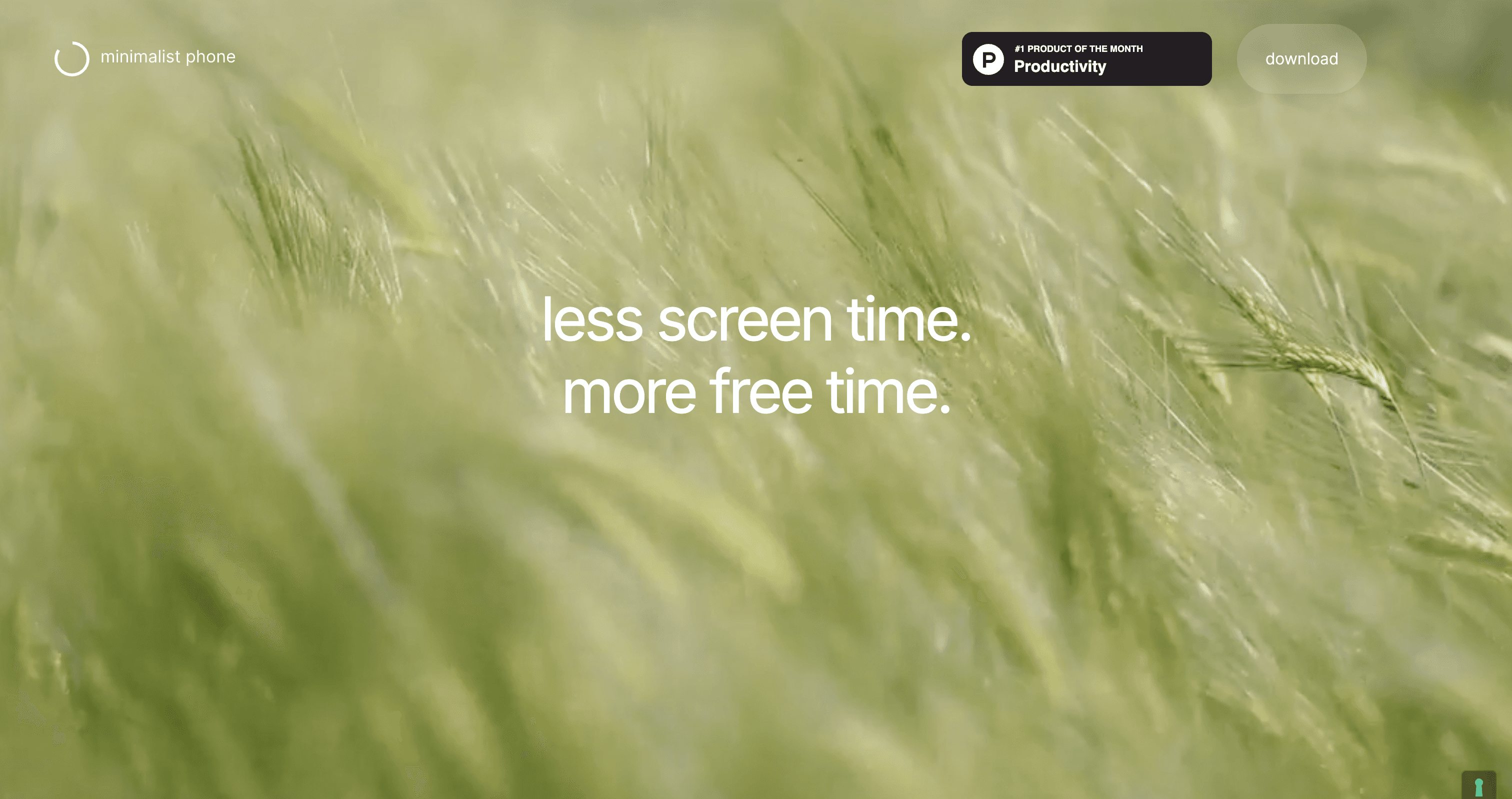 minimalist phone homepage with the message “less screen time. more free time.”