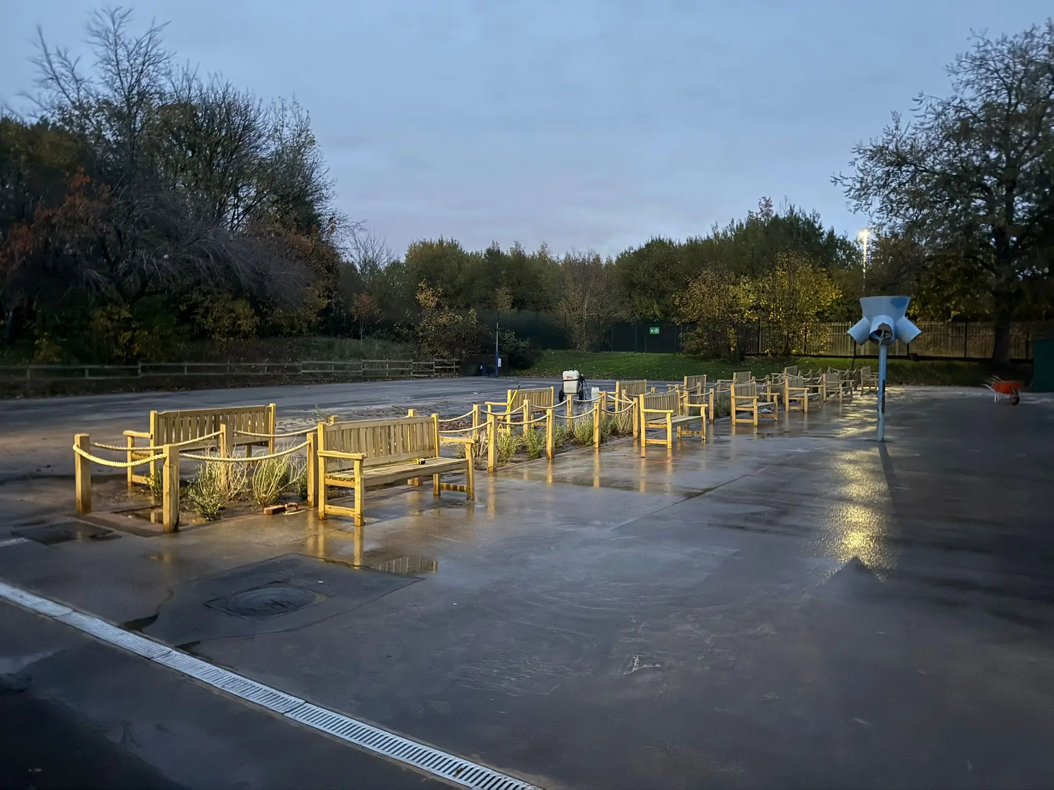 A deserted roadway surrounded by greenery, reflecting the early morning light and quiet atmosphere.