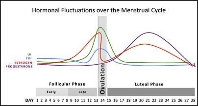 2448f363-72d8-4a27-8920-4b7060ae7e56