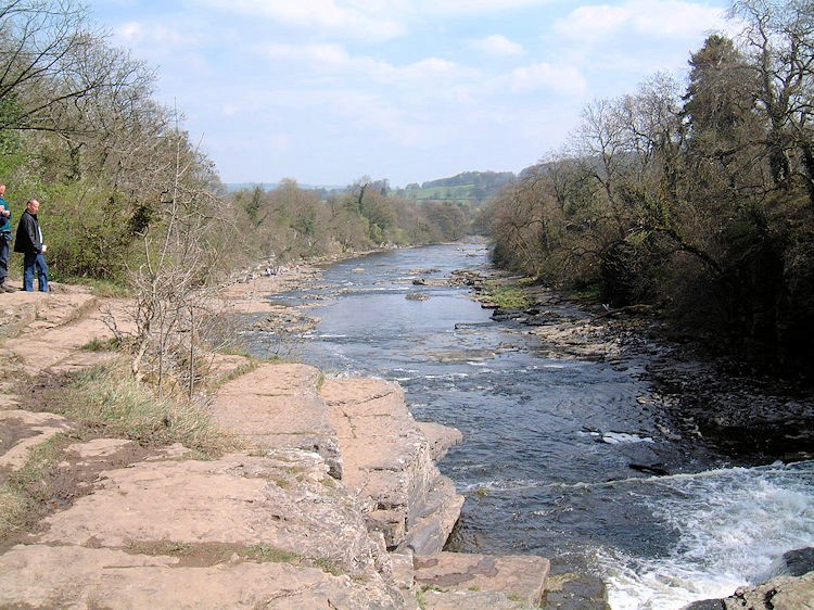 Scenic river landscape with flowing water over rocky streambed, red stone shoreline and woodland trees in wilderness