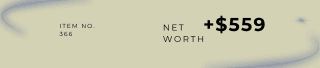 Item increasing net worth.