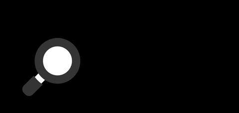 ZEWS Web marketing seo zews videotip GIF