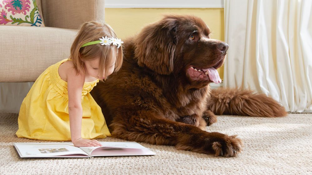 dog and girl on carpet
