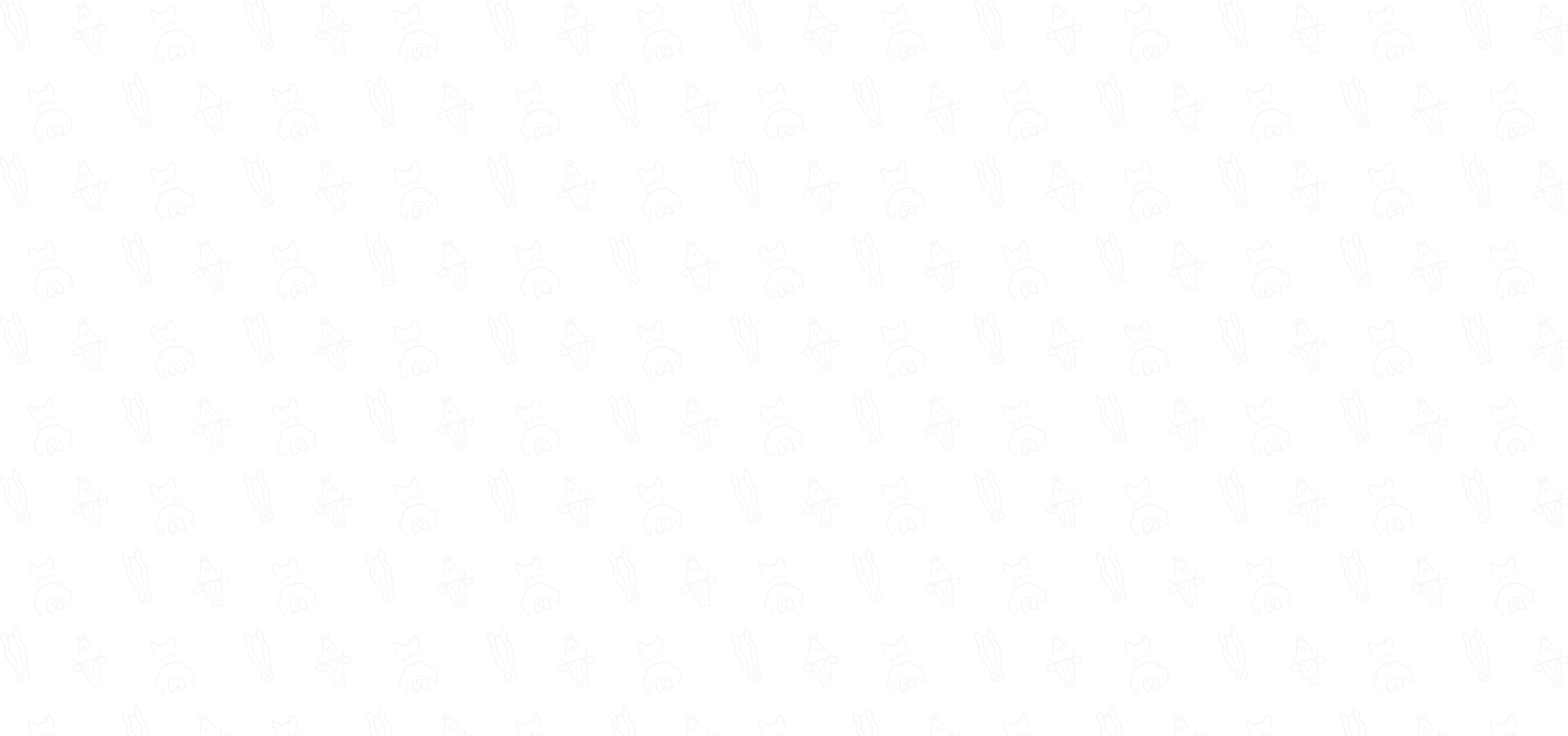 Chiot et chaton regardant vers le haut