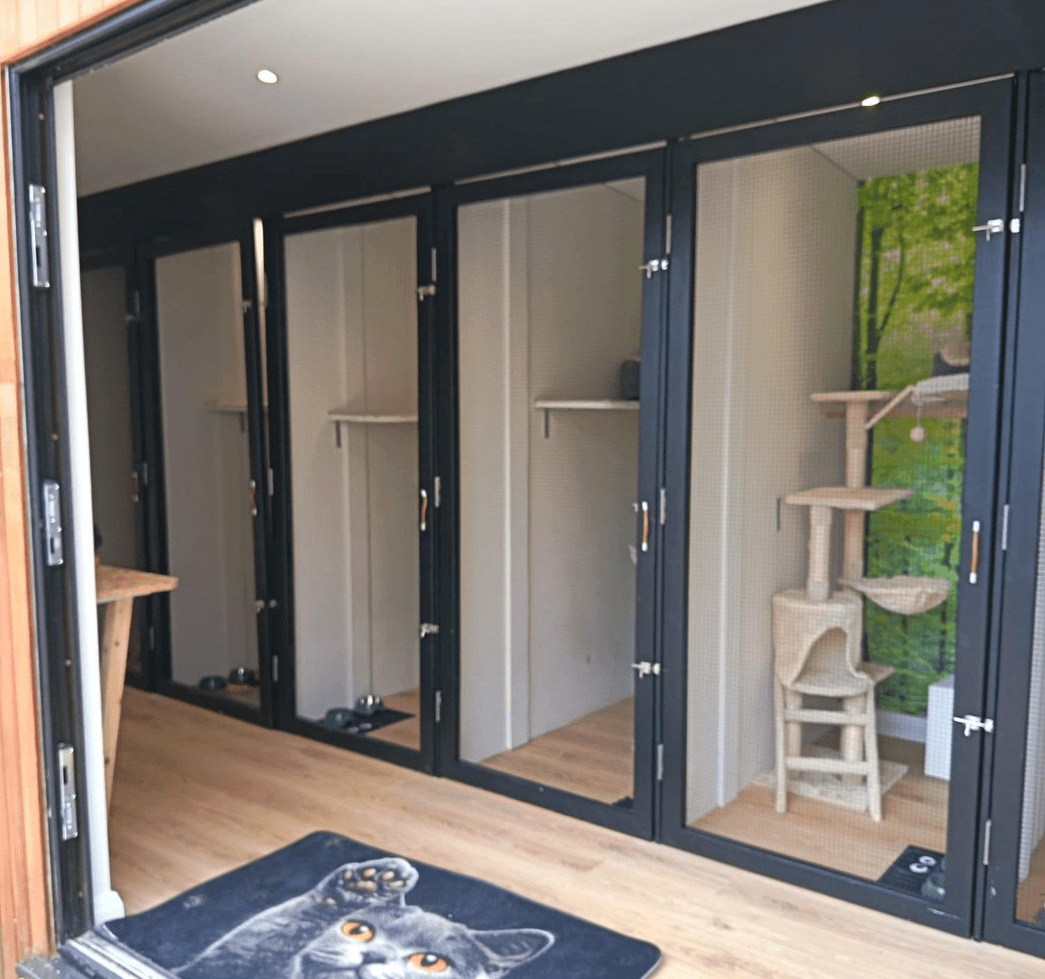 Cattery for Olivia's cattery in Navan Co.Meath