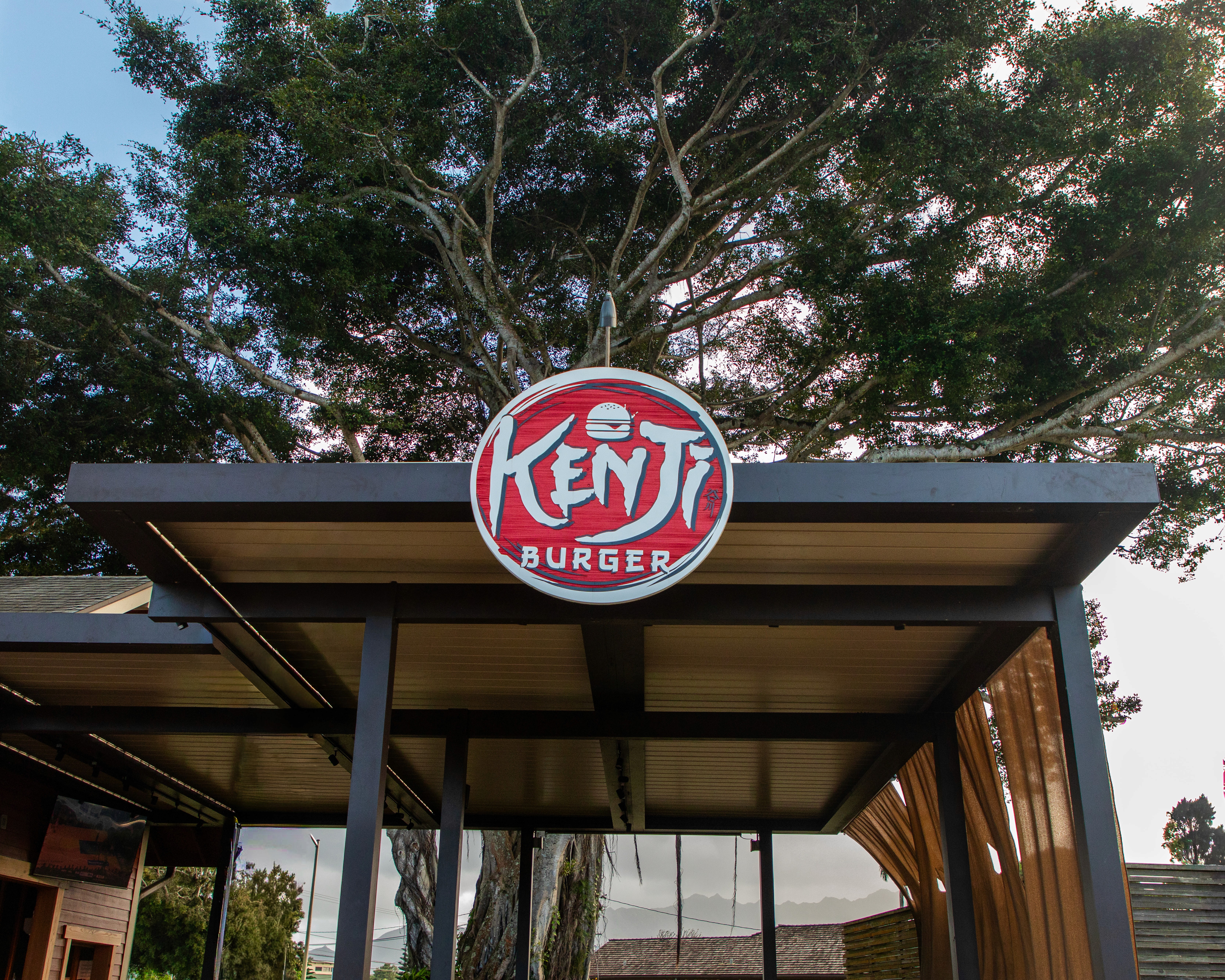Two plates of pasta topped with herbs, crushed nuts, and a drizzle of sauce, set on a wooden table.