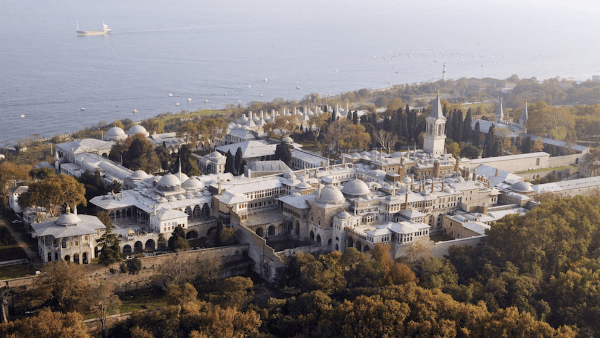 white and green ceramic plates on brown wooden dining table