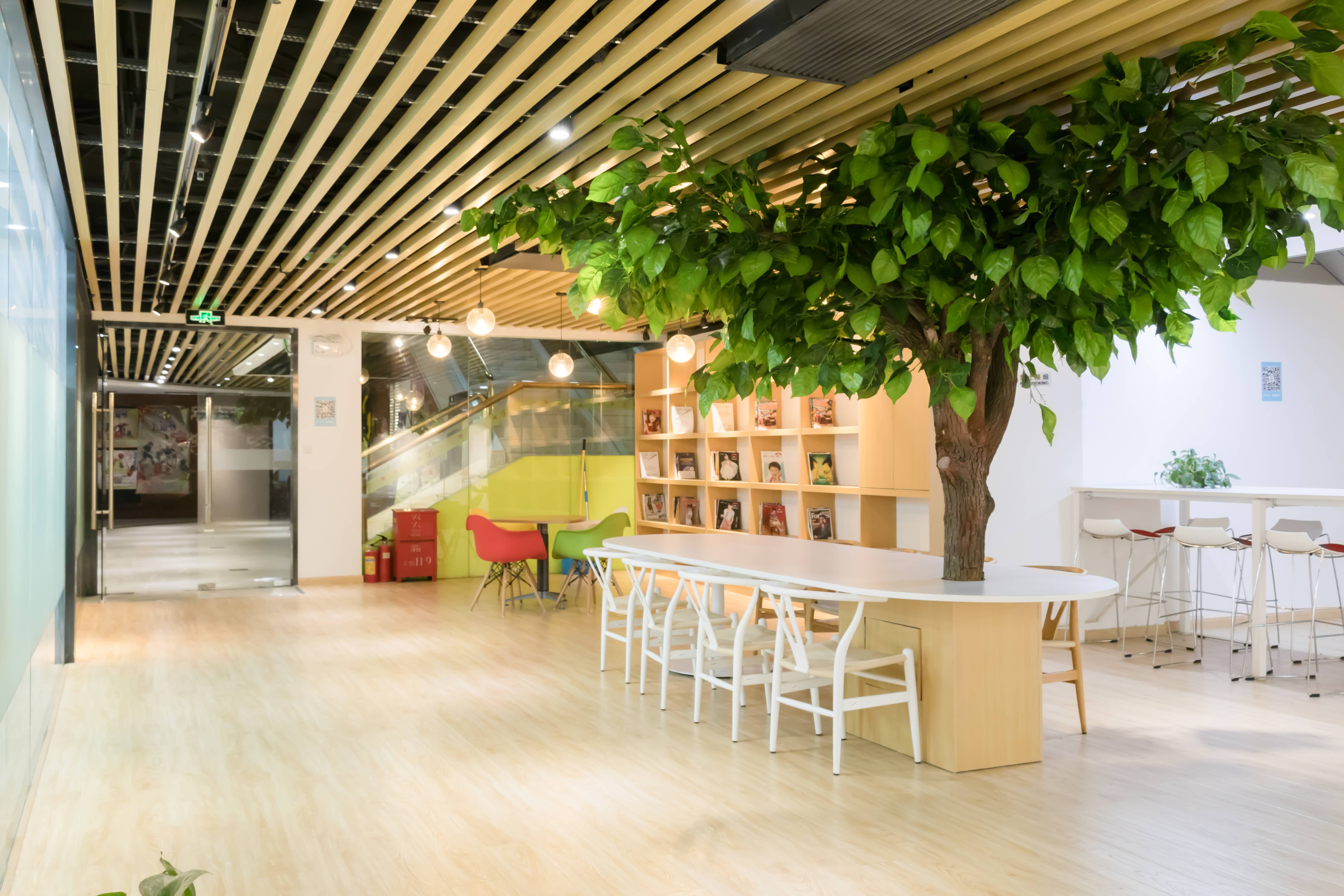 香港辦公室綠植革命：3 款植物即刻刷新空氣淨化Hong Kong office plants revolution: instant refresh with 3 types for air purification