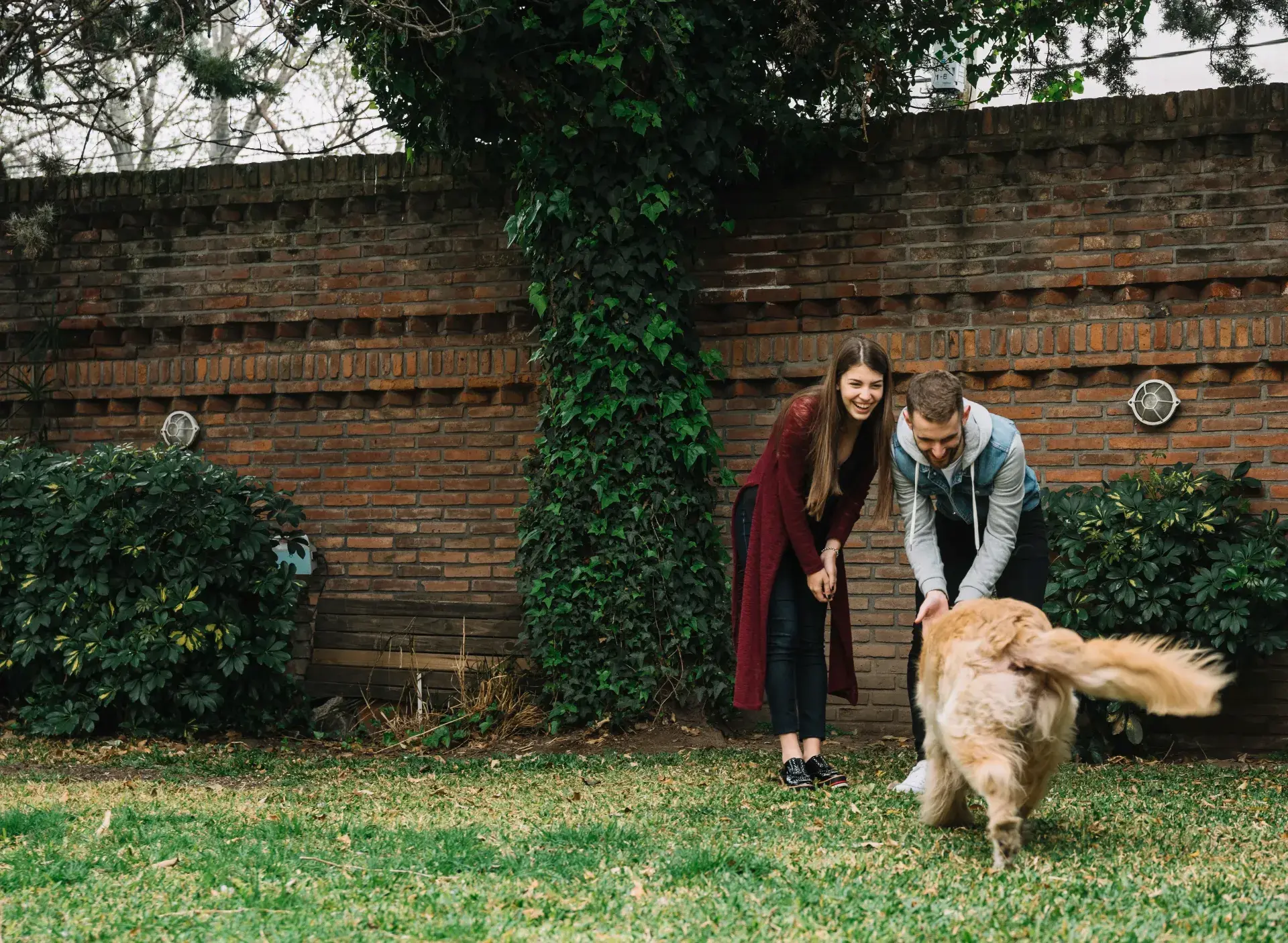 A couple plays with their golden retriever in a grassy backyard beside a brick wall covered in ivy. The warm, rural setting reflects homeownership and outdoor living, aligning with Chris Lewis Home Loans’ Rural Development program.