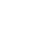 Client Icon