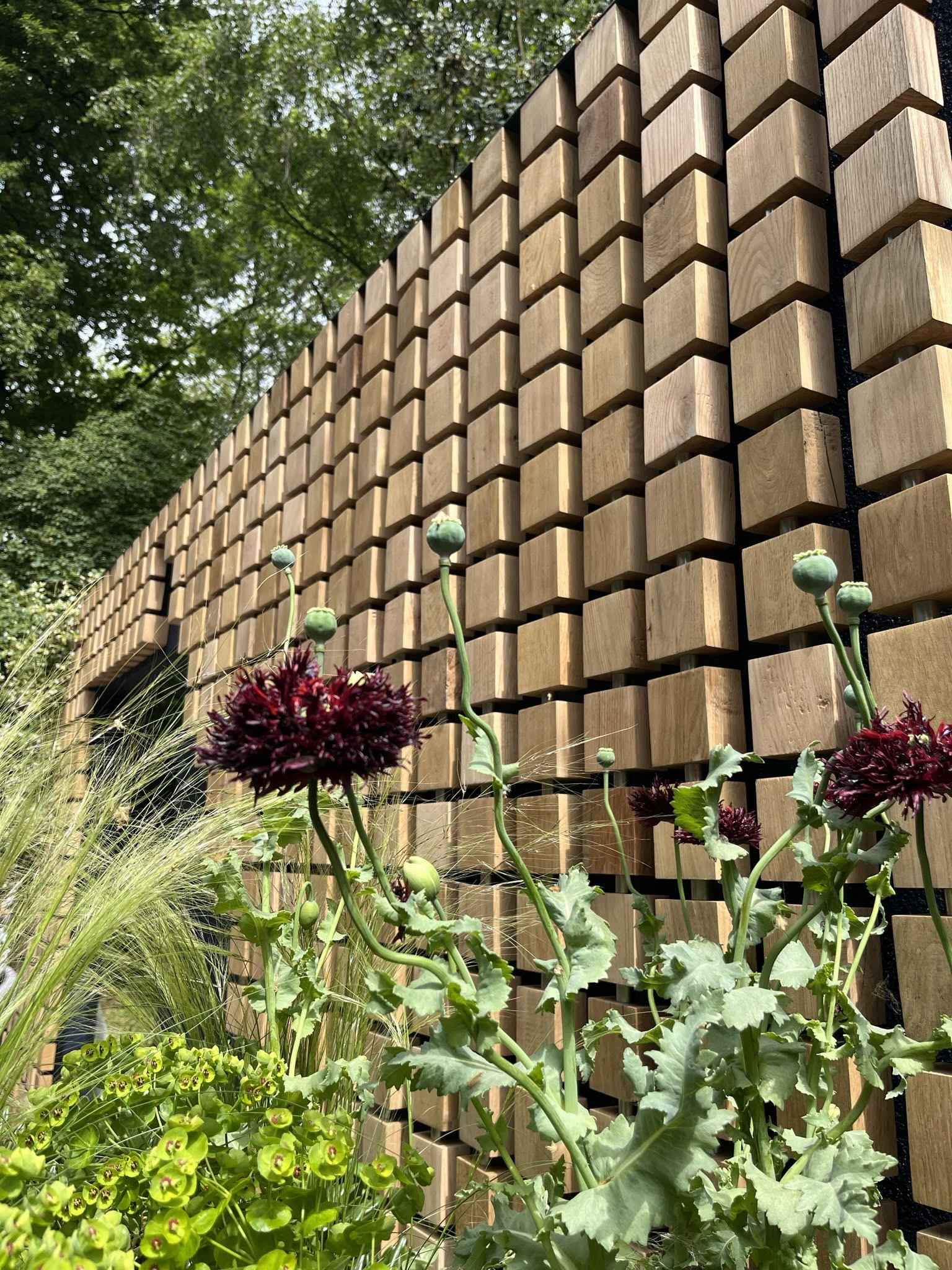 A garden trellis with green vines and purple flowers against a backdrop of lush greenery.