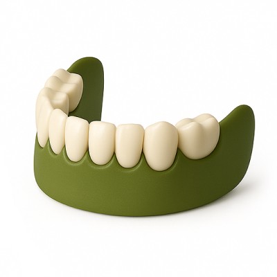 prosthetics illustration