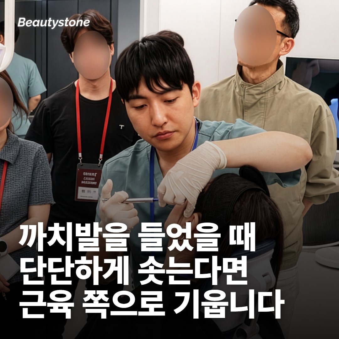 까치발을 들 때 단단해지는 덩어리 — 근육 쪽 갈래