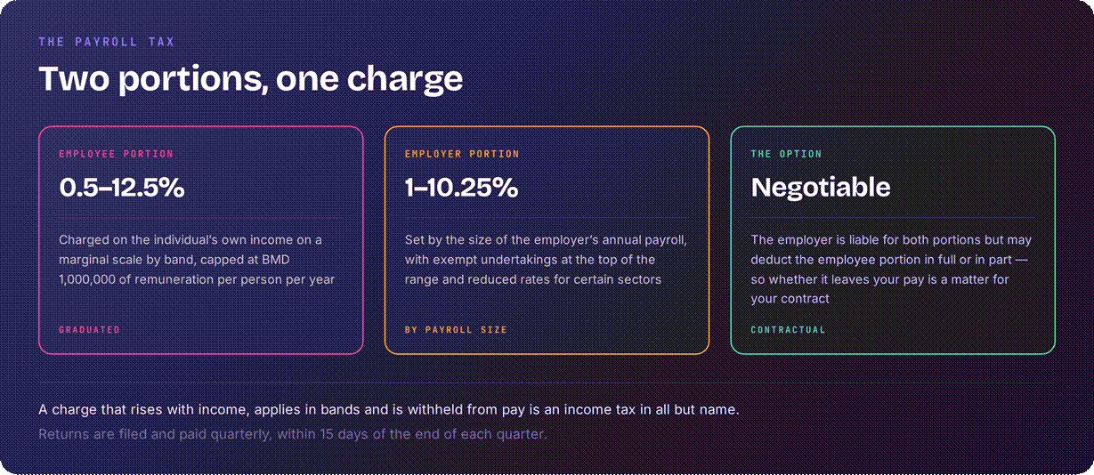 Bermuda payroll tax diagram