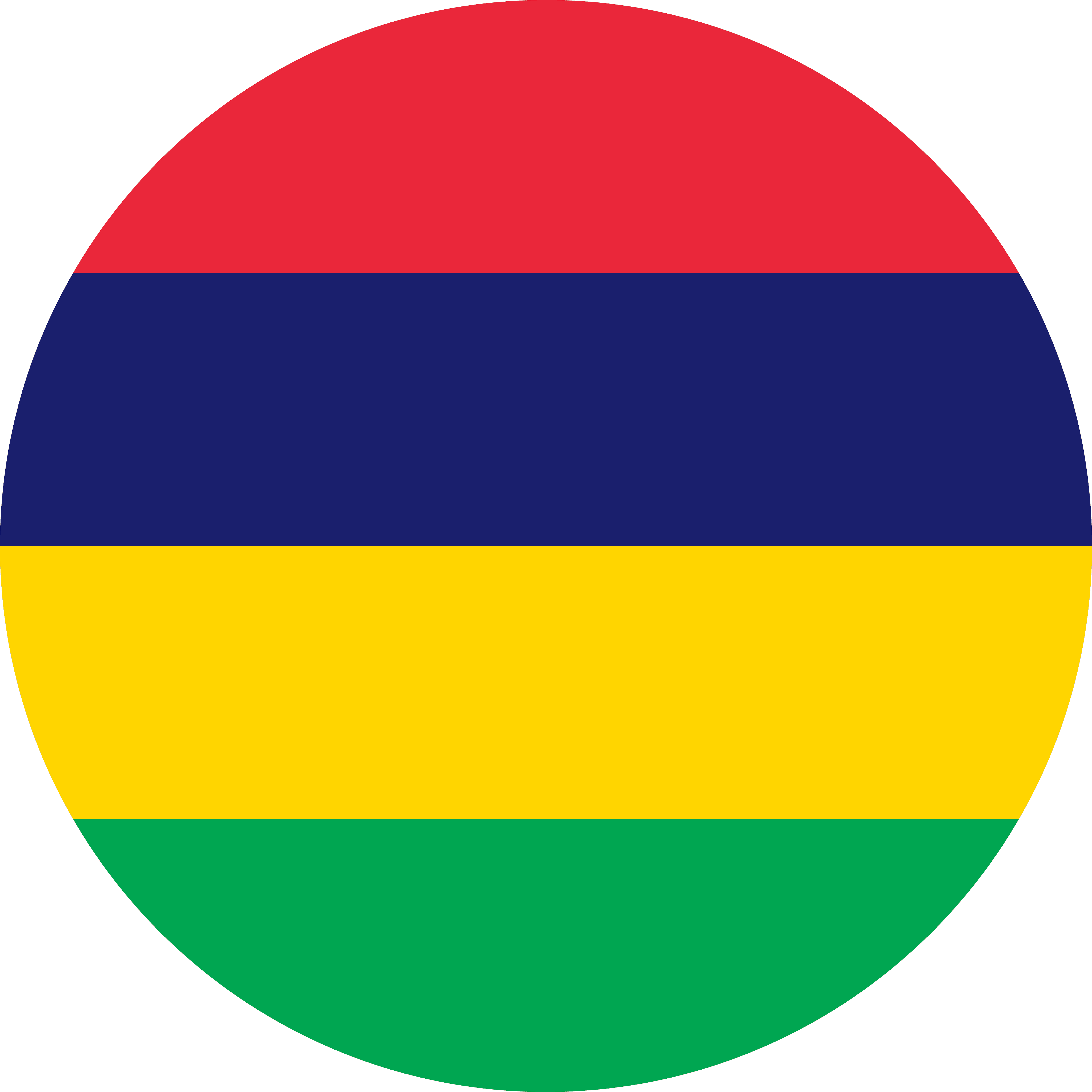 Flag Image