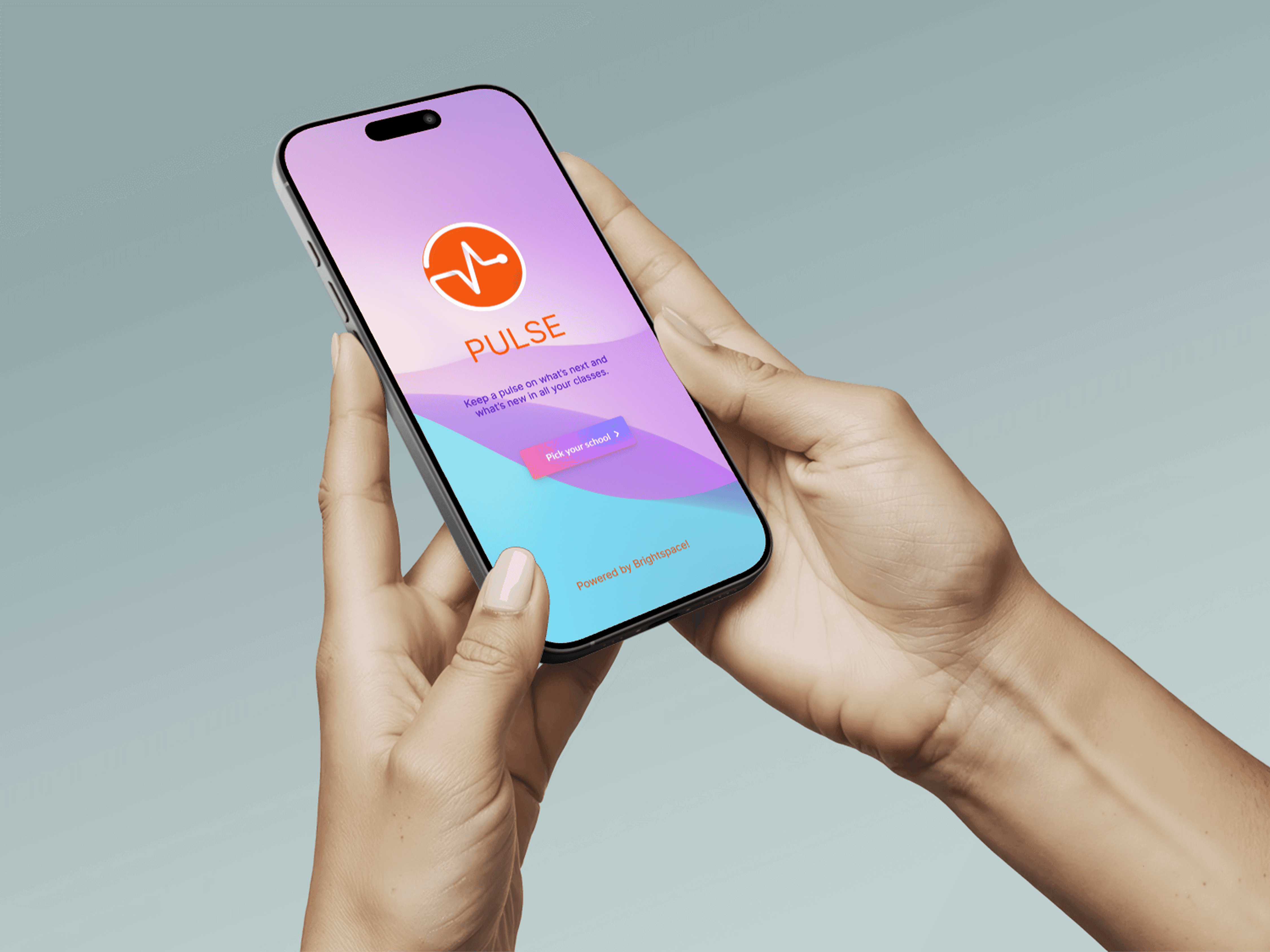 Portrait of portfolio creator – back view