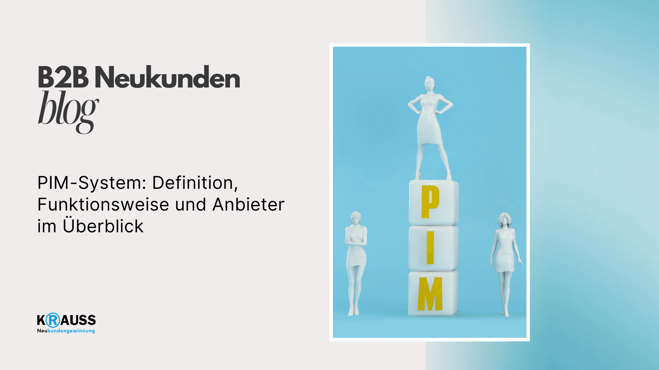 PIM-System: Definition, Funktionsweise und Anbieter im Überblick