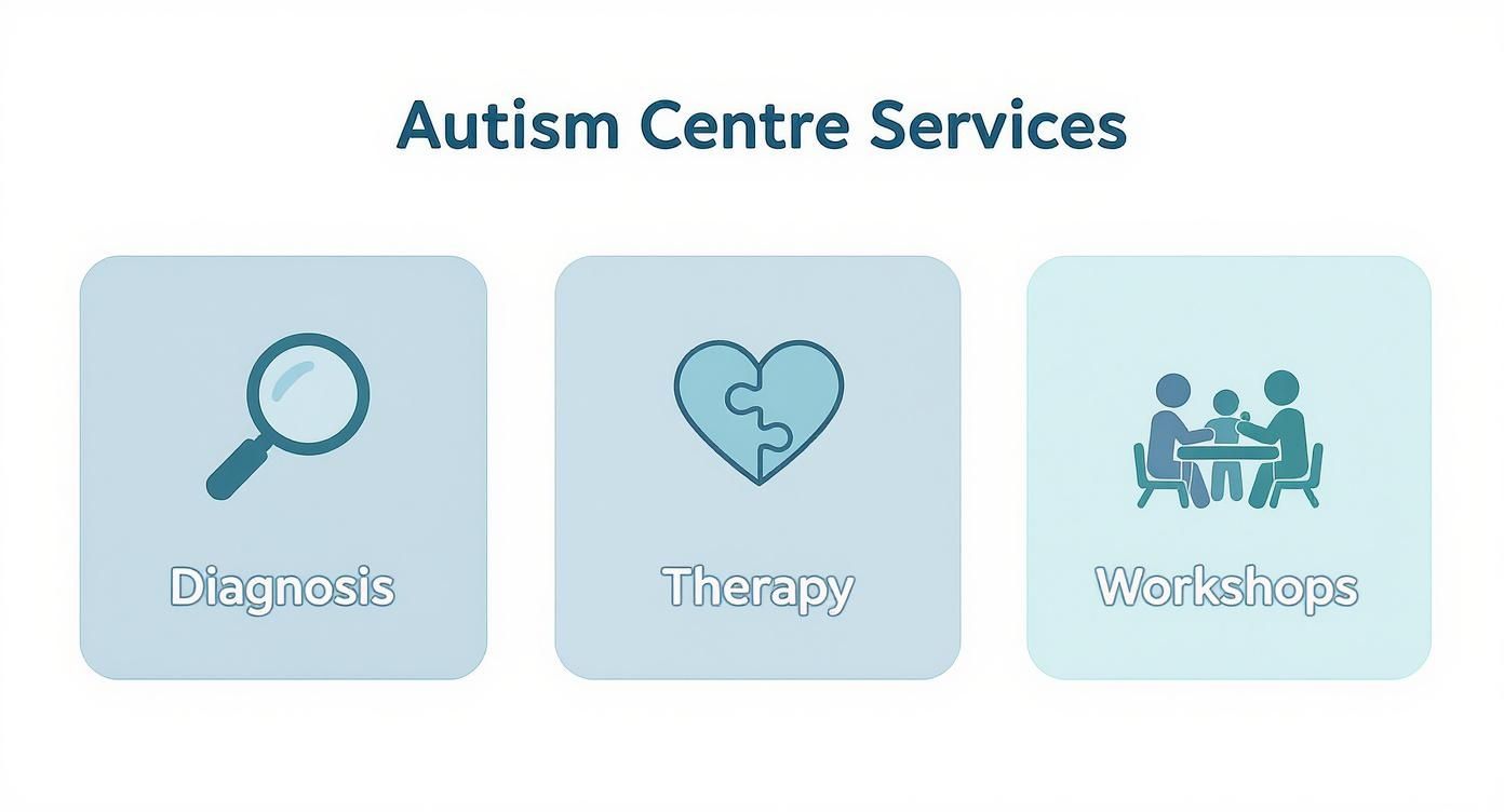Infographic about autism resource centre services for diagnosis, therapy, and workshops.