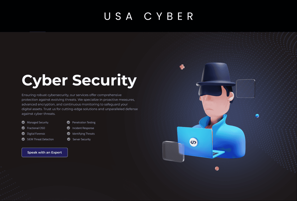 USA Cyber