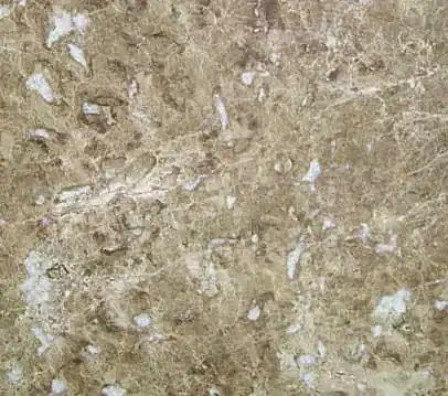 Emperador Light marble — natural stone swatch, Mosaiclegs Art Studio