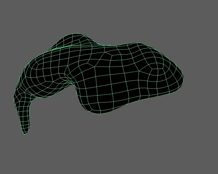 Large wireframe view of a thick folded organic surface with uneven sculpted contours.