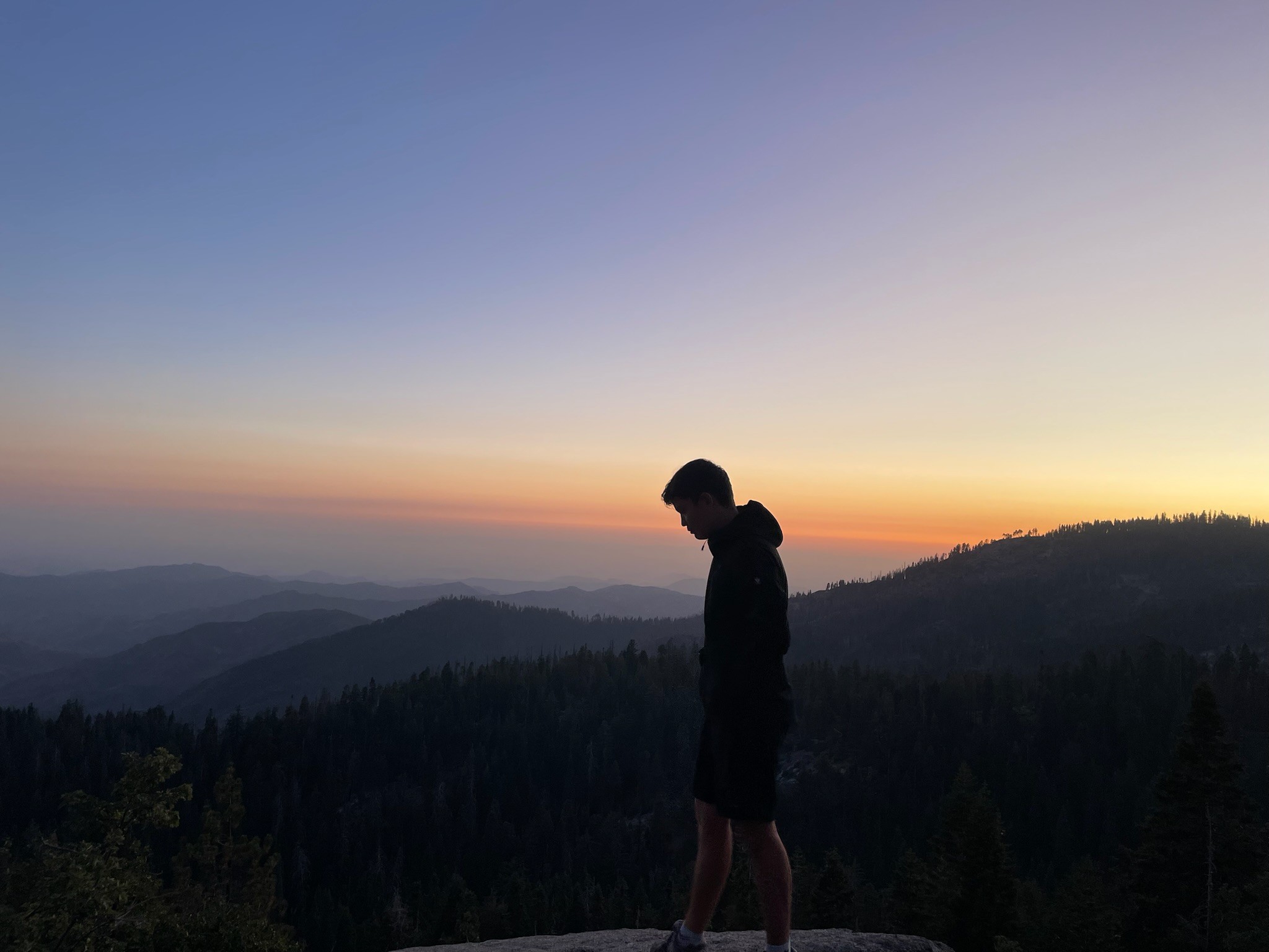 Michael Carter, Digital Product Designer