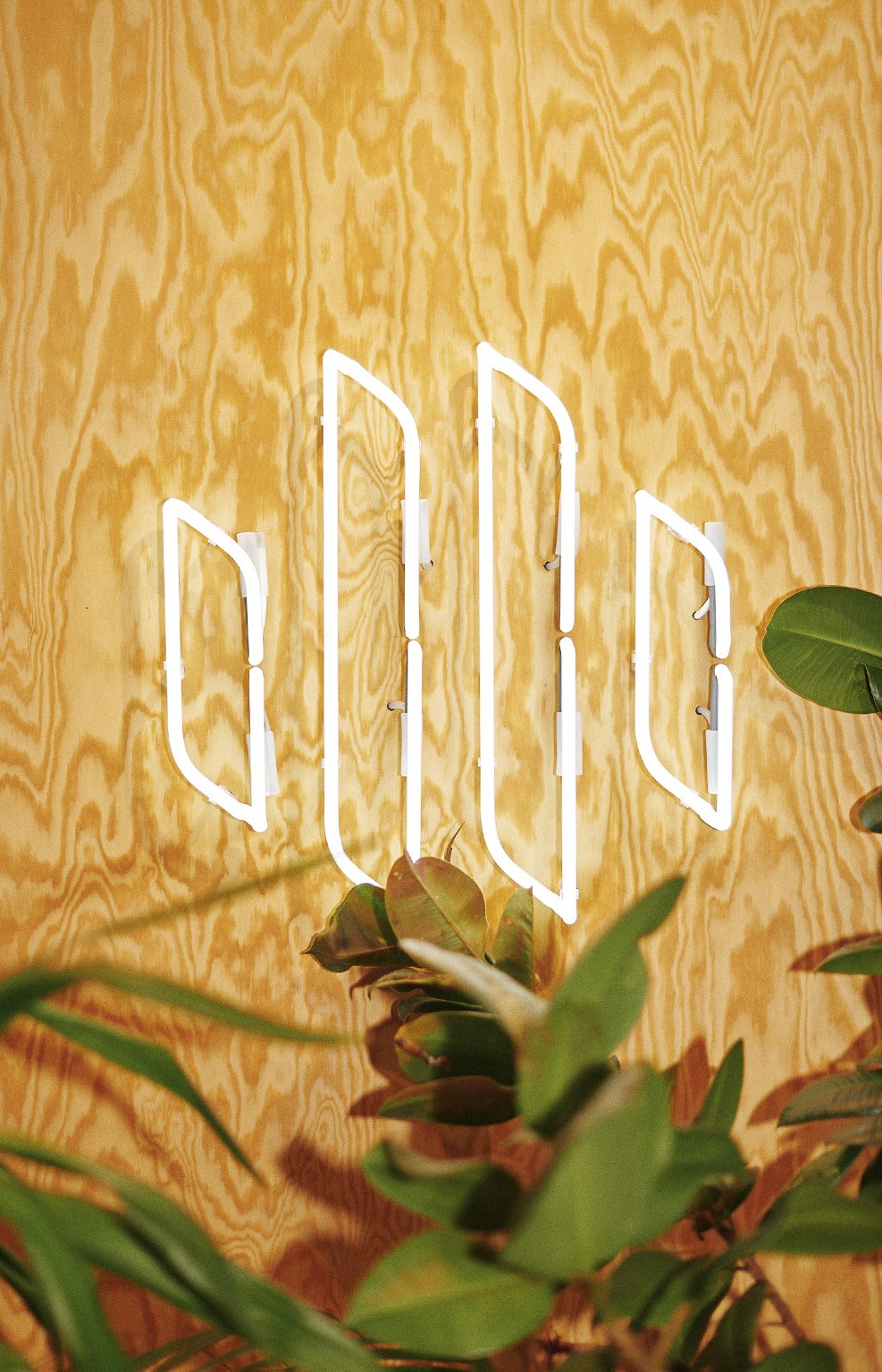 Neon sign of Heads' logo on a wooden wall