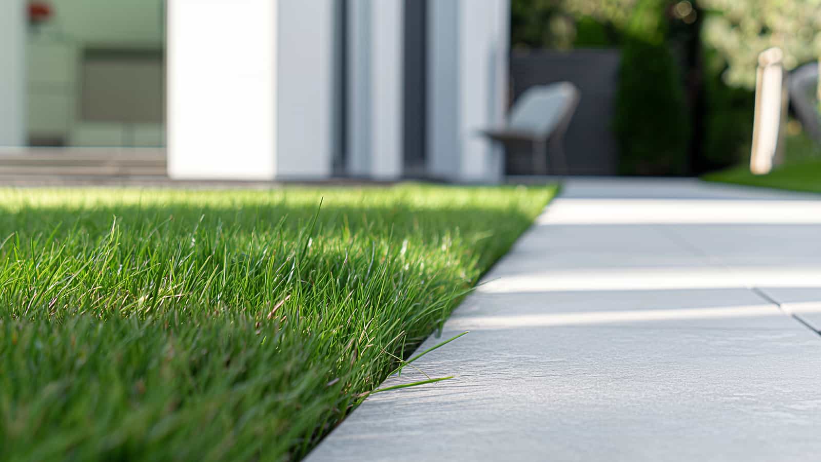 Close-up of lawn edge and concrete path, clean outdoor space detail