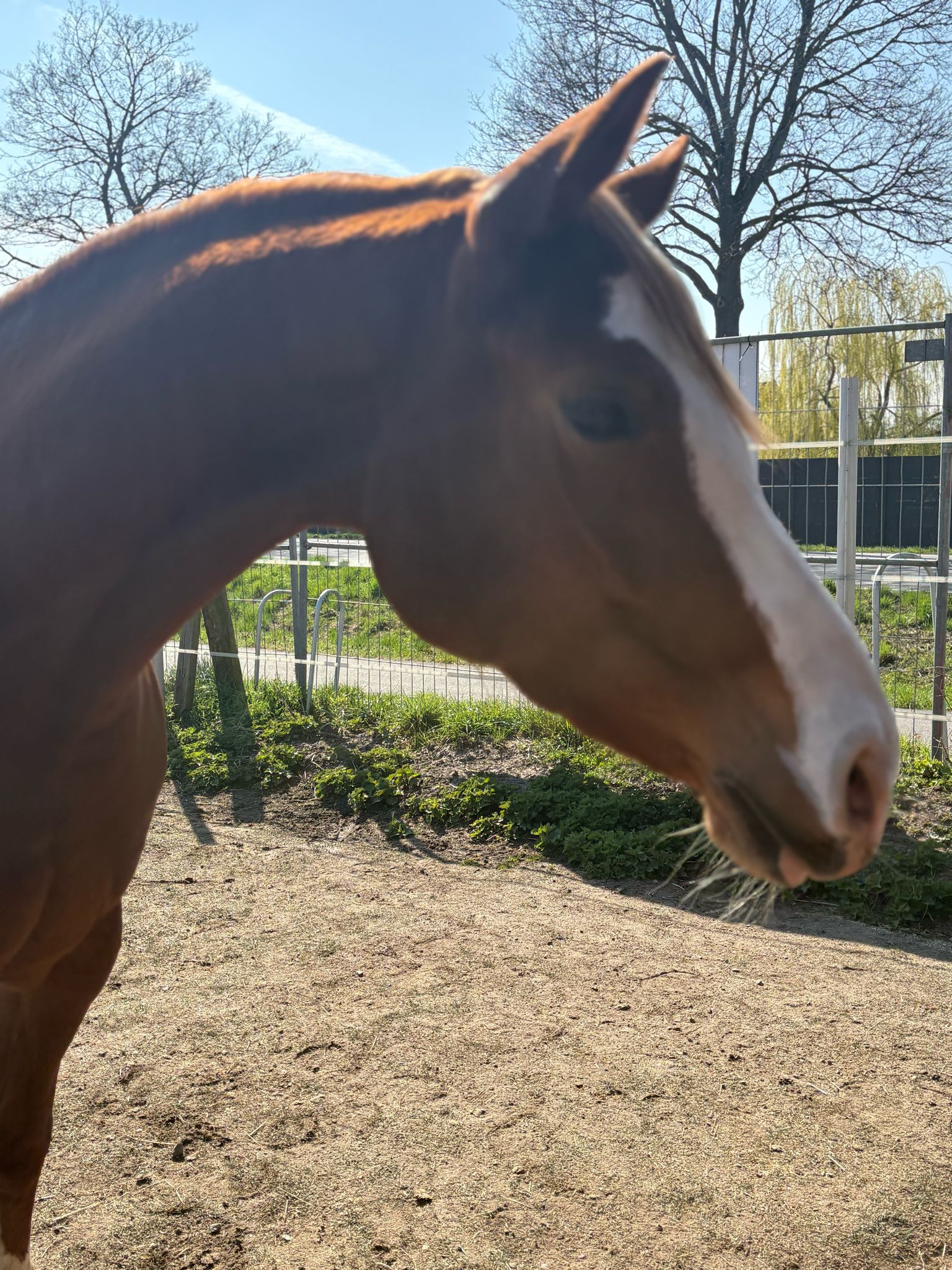 woman in white crew neck shirt