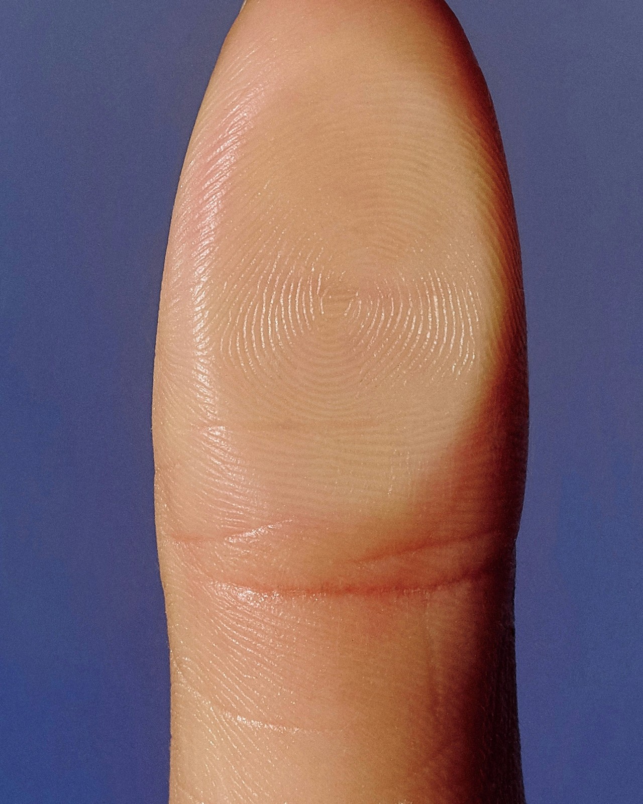 Close-up of a finger pressed against a surface, clearly revealing the unique ridge patterns of a fingerprint.