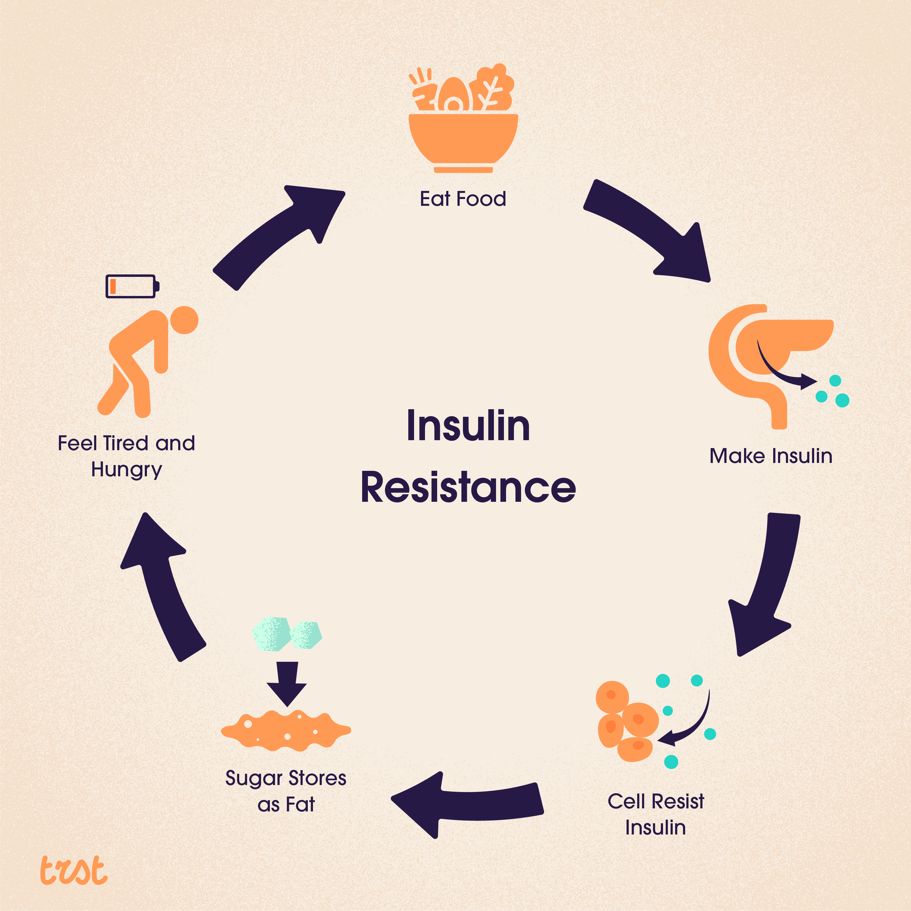 An infographic illustration of what insulin resistance 