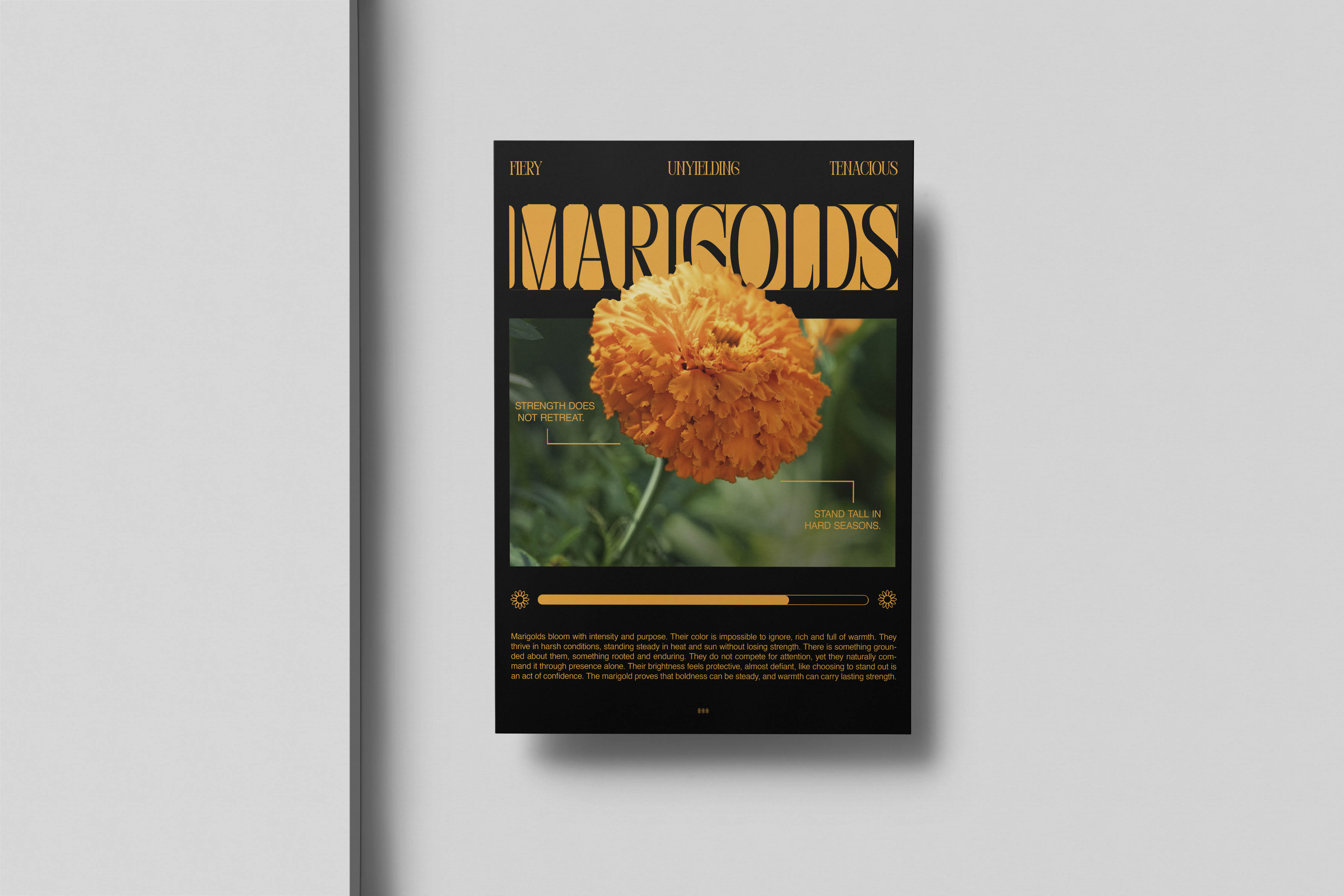 Project Gallery Image for 50% width of the screen #1