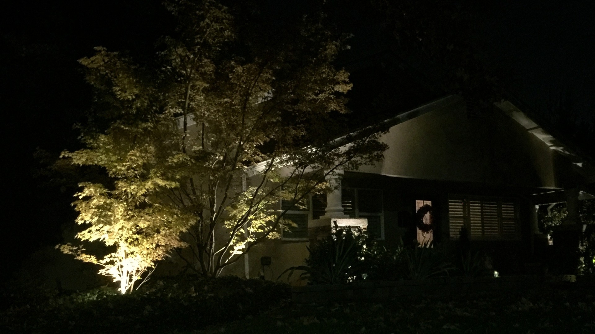 Outdoor Lighting in front yard